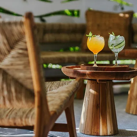 尼西公园酒店 酒店