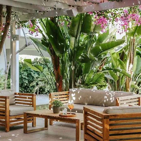 尼西公园酒店 酒店 圣纳帕