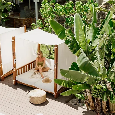 尼西公园酒店 酒店 3*