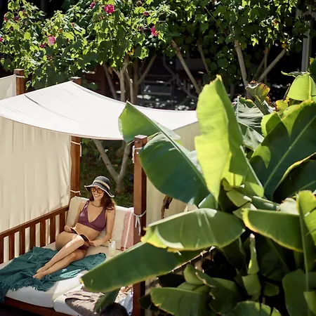 酒店 尼西公园酒店 圣纳帕