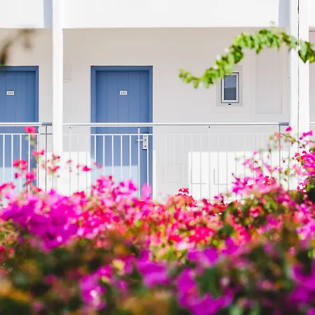 酒店 尼西公园酒店 3*