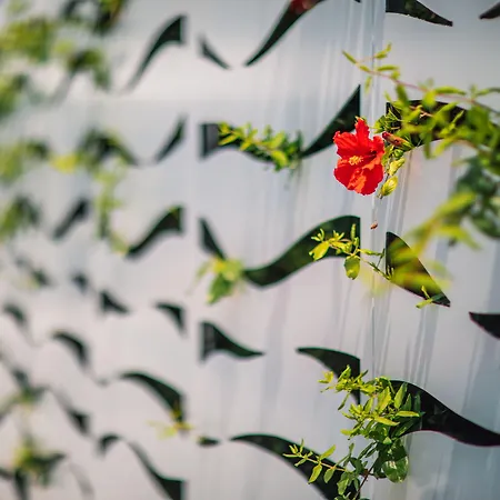 酒店 尼西公园酒店